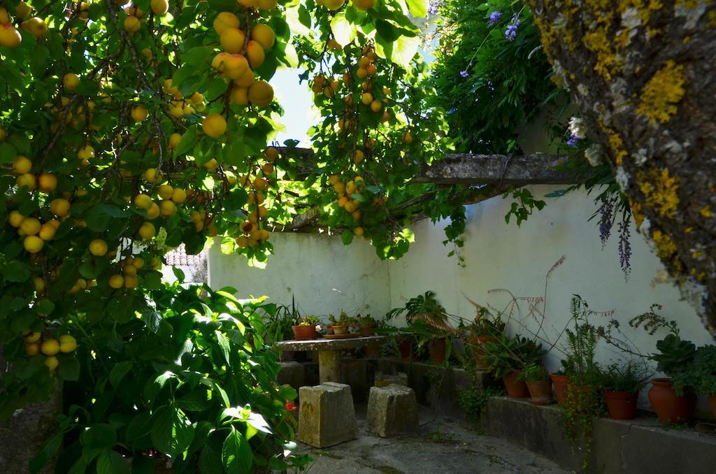 Vila Casa Do Sobral Óbidos Zimmer foto